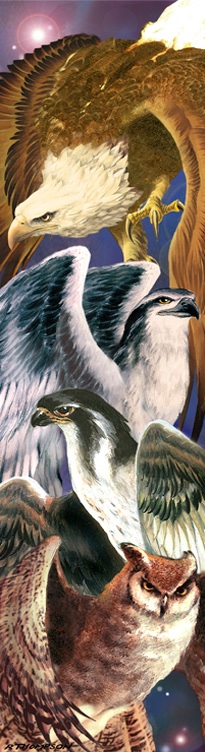 Four Birds of Prey