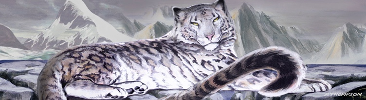 Snow Leopard