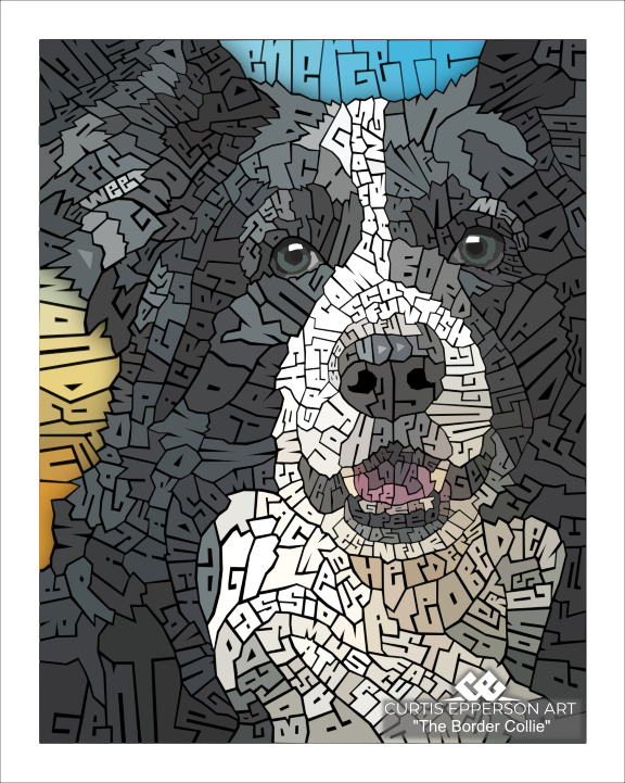 The Border Collie
