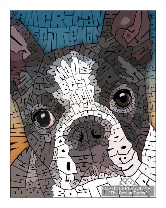 The Boston Terrier
