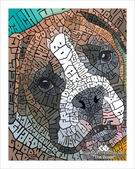 The Boxer