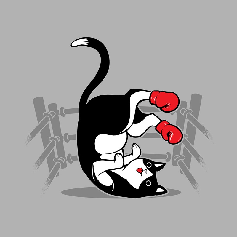 Boxer Cat