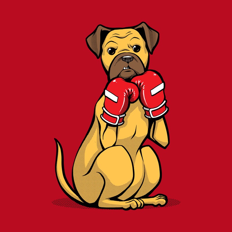 Boxing Boxer