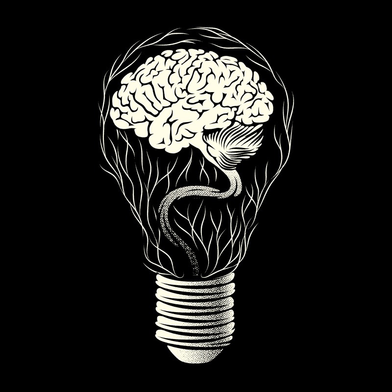 Brain Enlightenment Nervous System