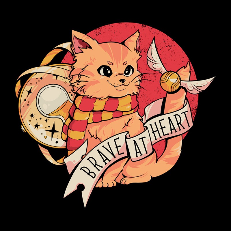 Brave At Heart Orange Cat