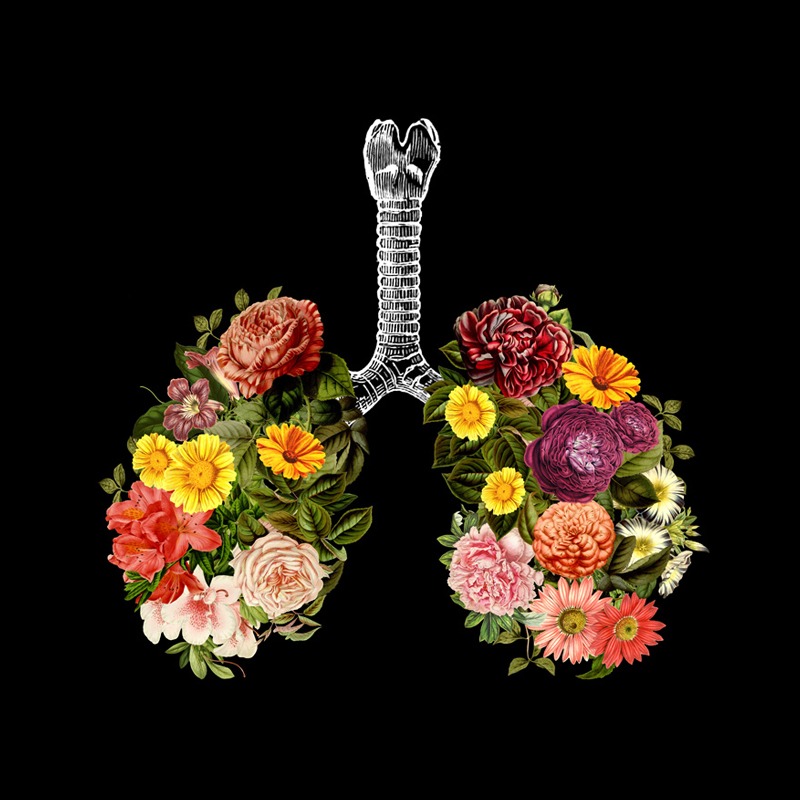 Breathing Spring Flower Lungs Black