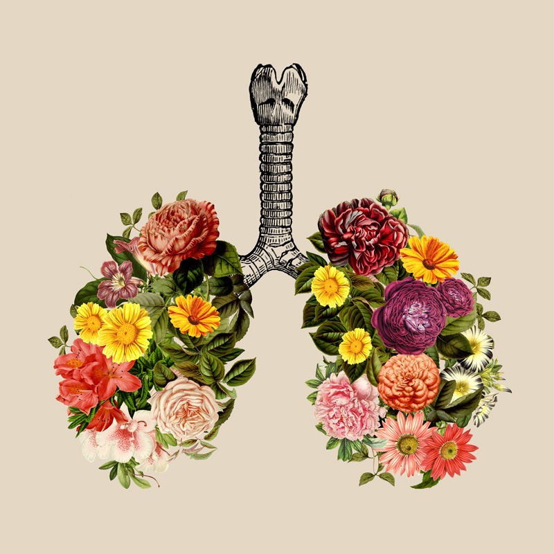 Breathing Spring Flower Lungs