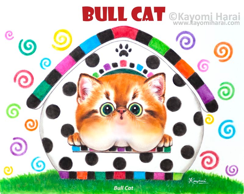 Bull Cat