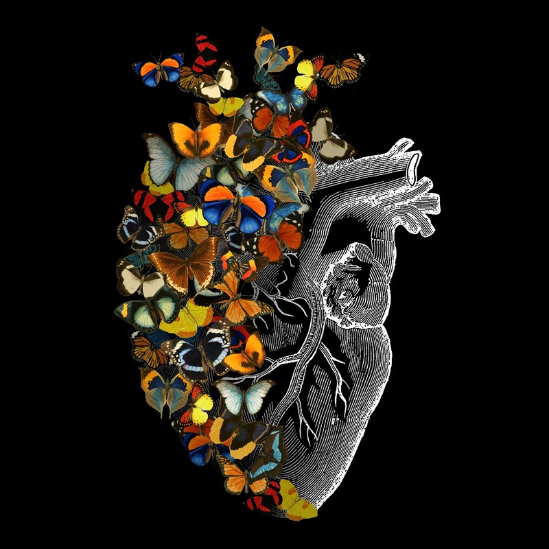 Butterfly Vintage Heart Spring