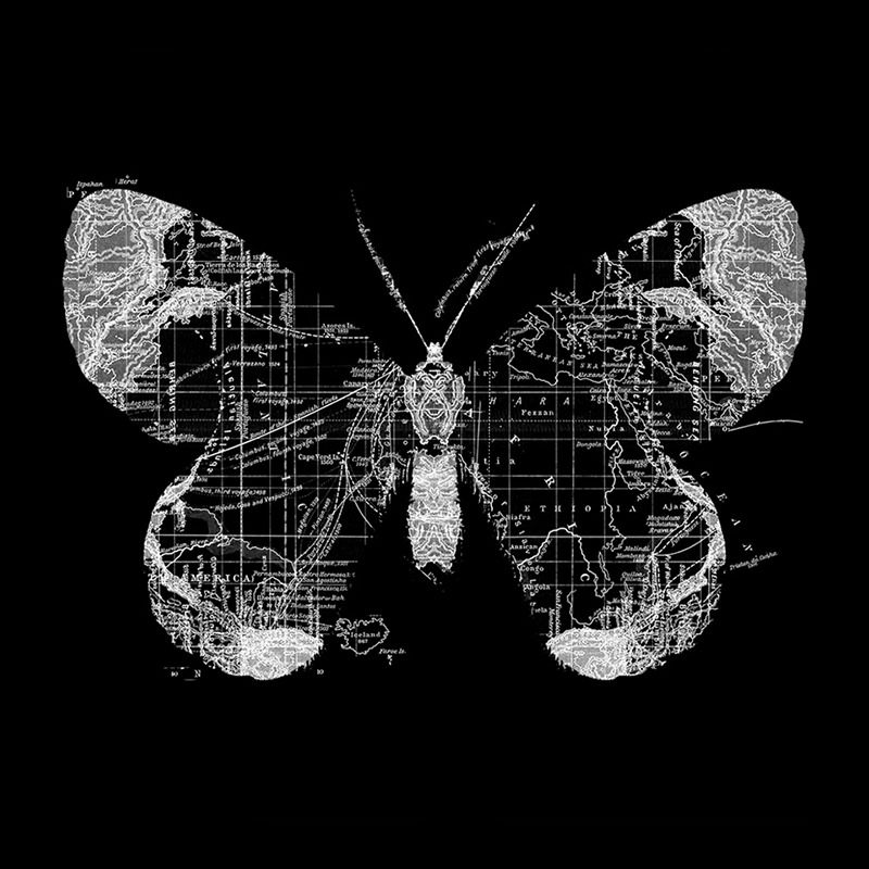 Butterfly Wanderlust