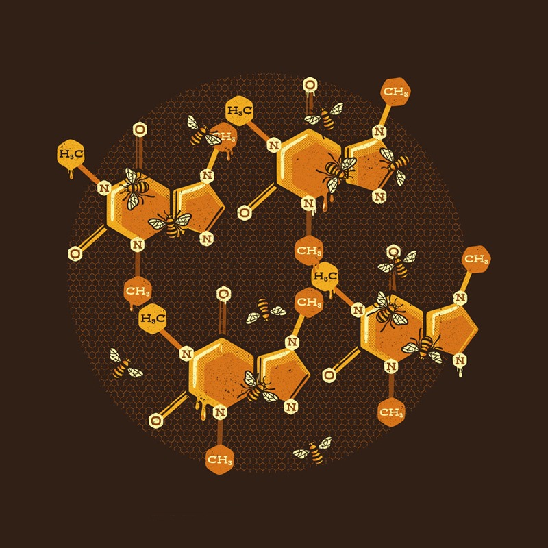 Caffeine Working Bee Hive