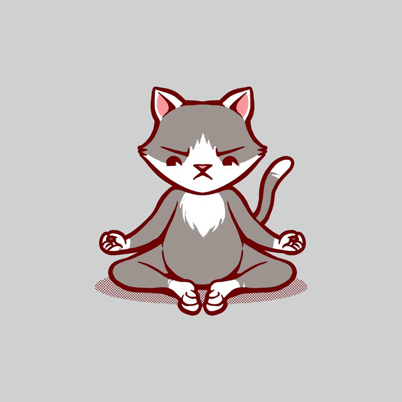 Cat Animals Meditation Zen Buddhism