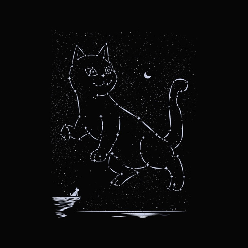 Cat Constellation