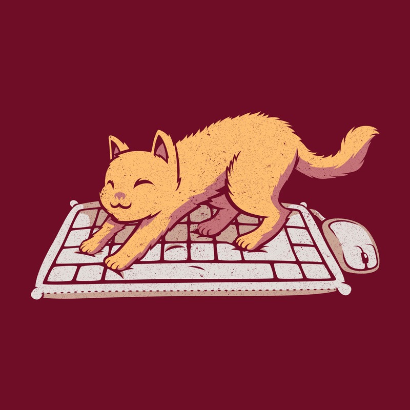 Cat Keyboard No Personal Space