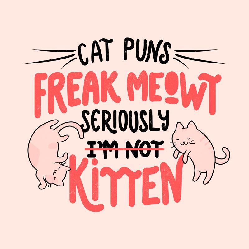 Cat Puns Freak Meowt Seriously Kitten