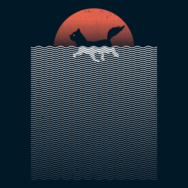 Cat Sunset Swimming Beach Summer