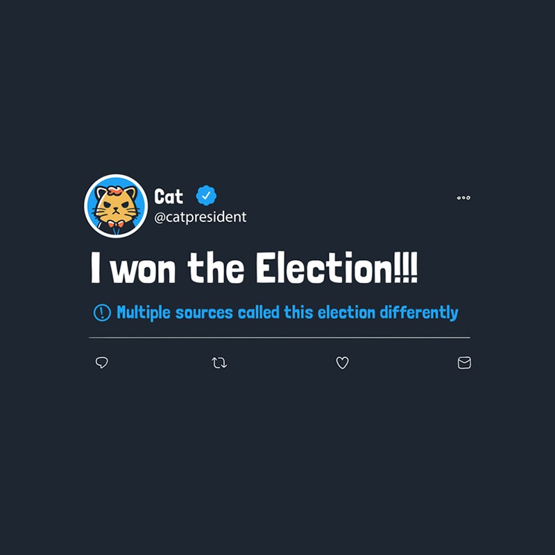 Cat Won The Presidential Run Disputed Tweet