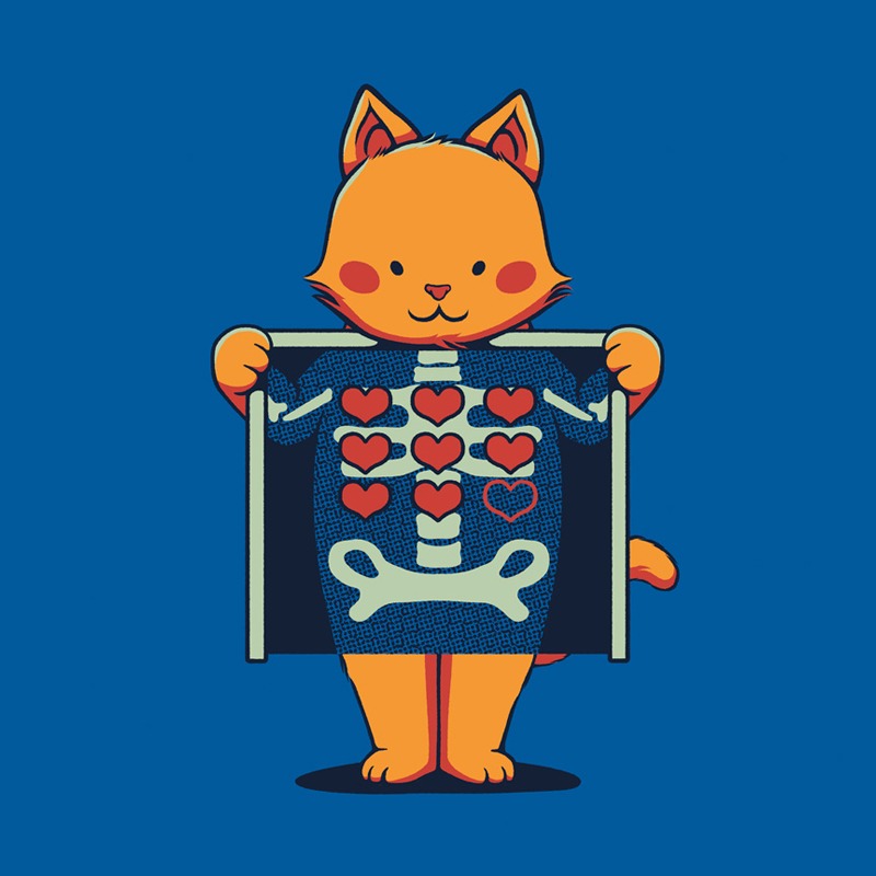 Cat X-Ray 9 Lives