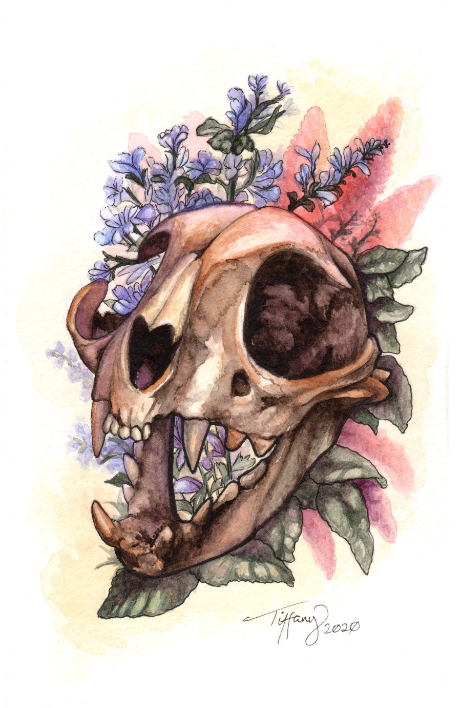 Catnip