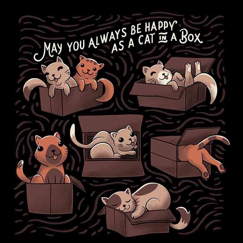 Cats In A Box