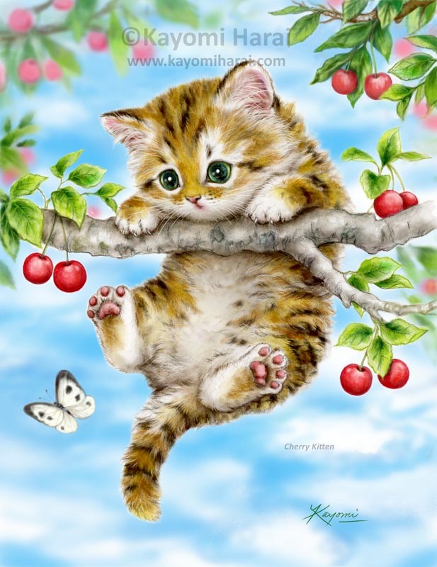 Cherry Kitten New 2