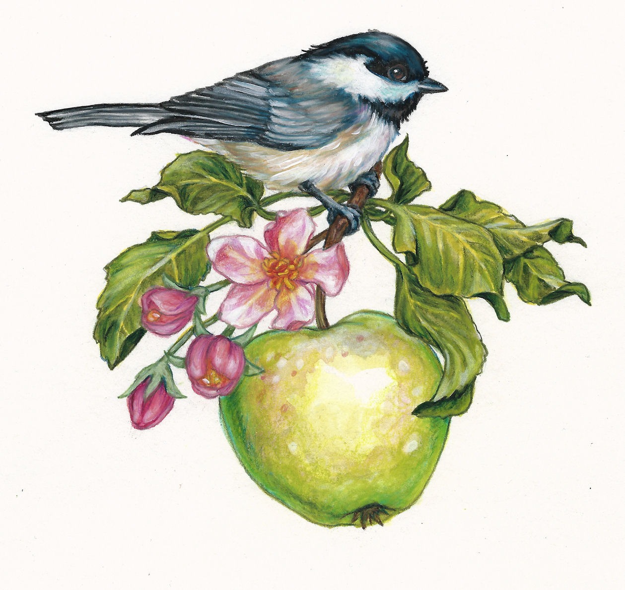 Chickadee and apple with flowers