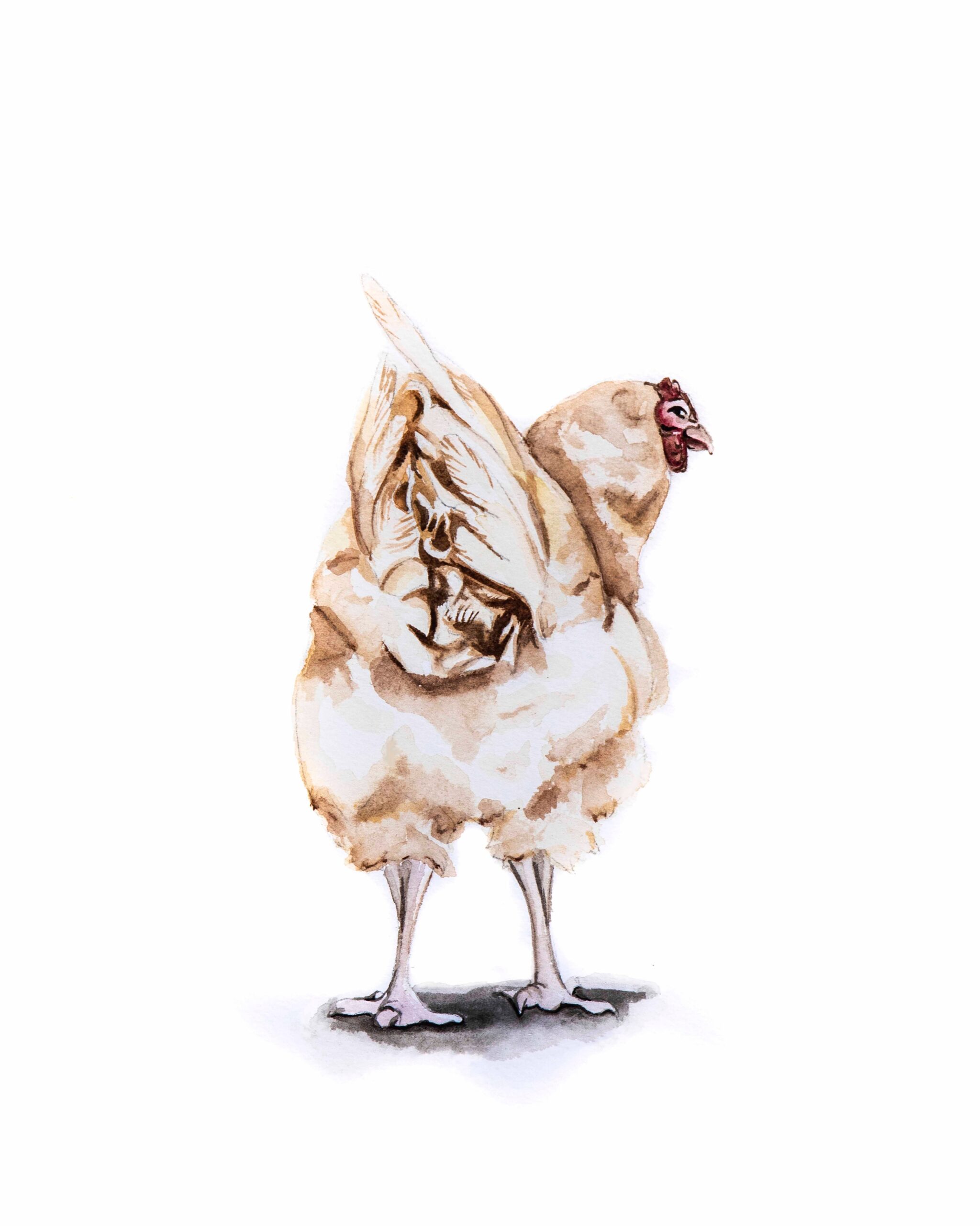 Chicken Butt