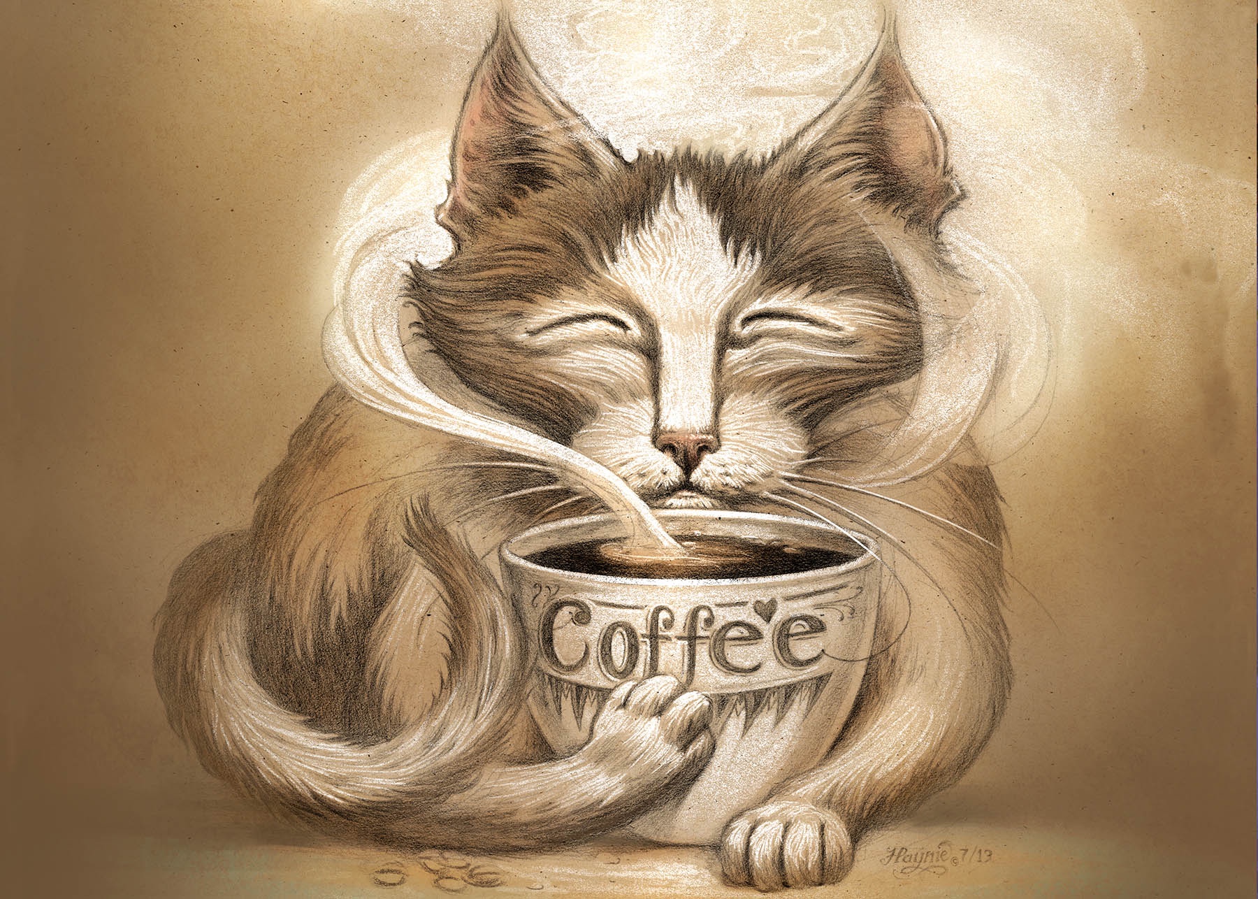 Coffee Cat