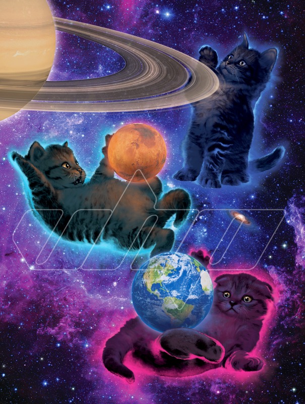 Cosmic Kittens