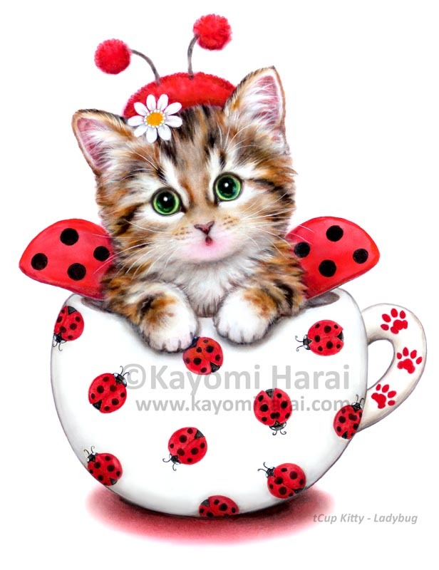 Cup Kitty Lady bug