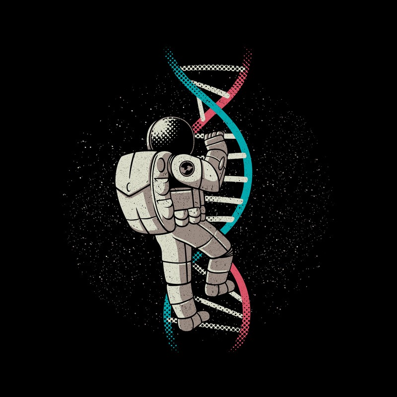 DNA Astronaut Science Stairs