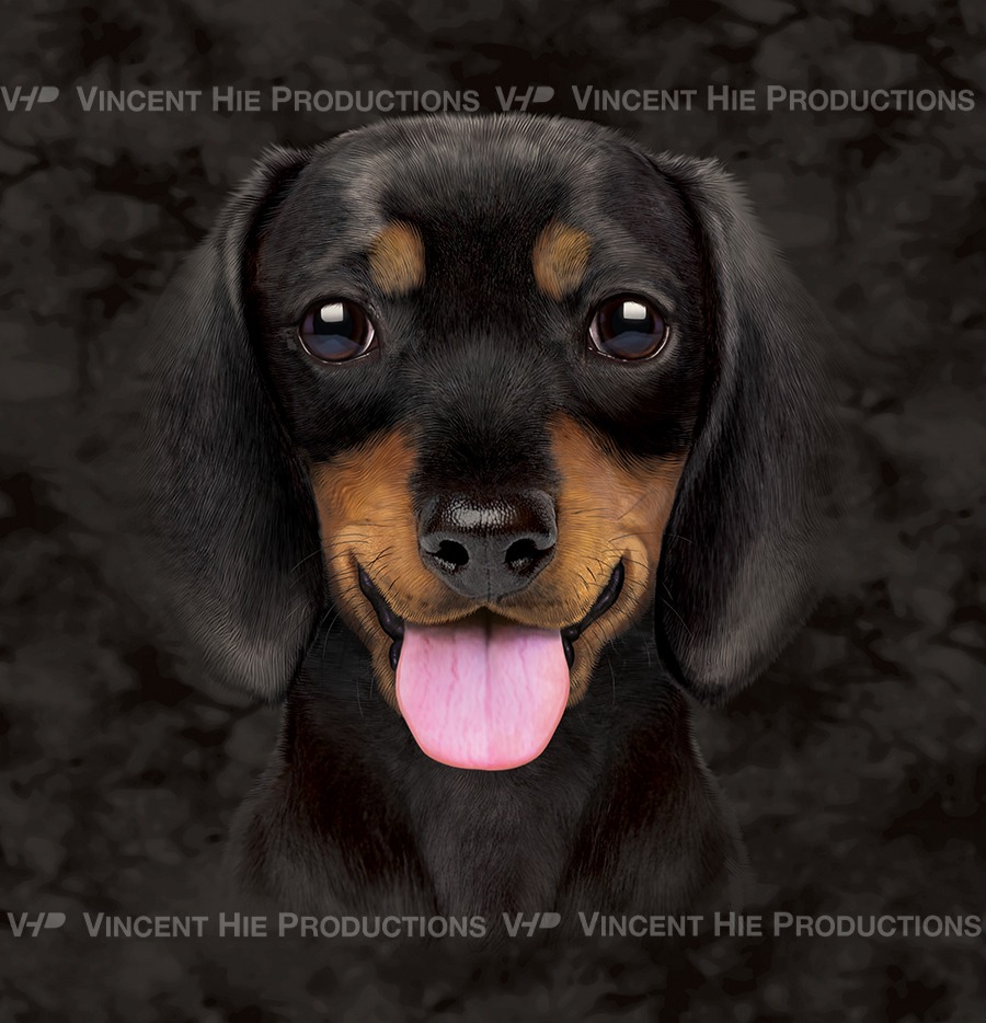 Dachshund puppy Smile Big Face
