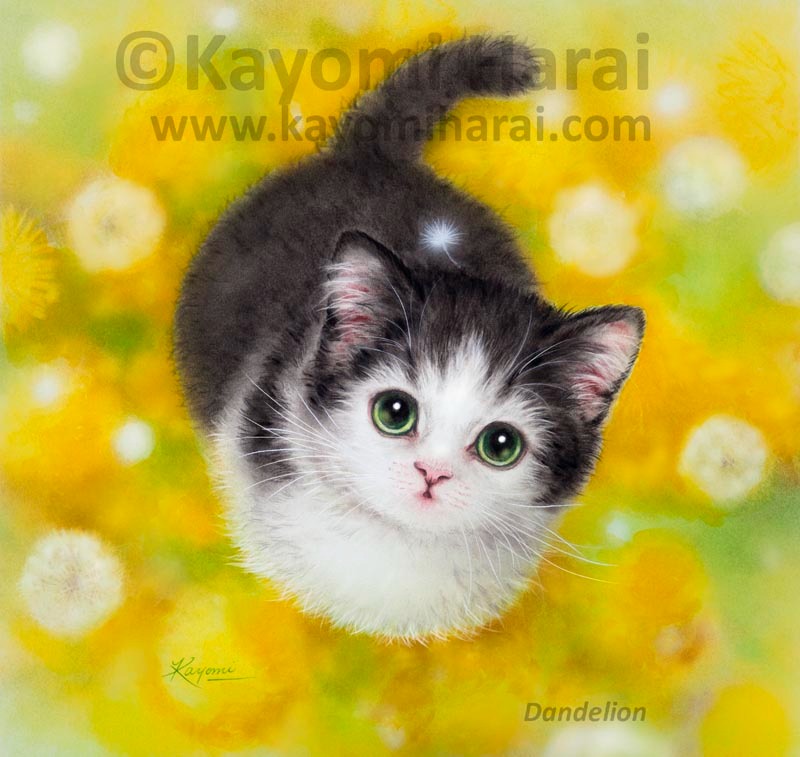 Dandelion