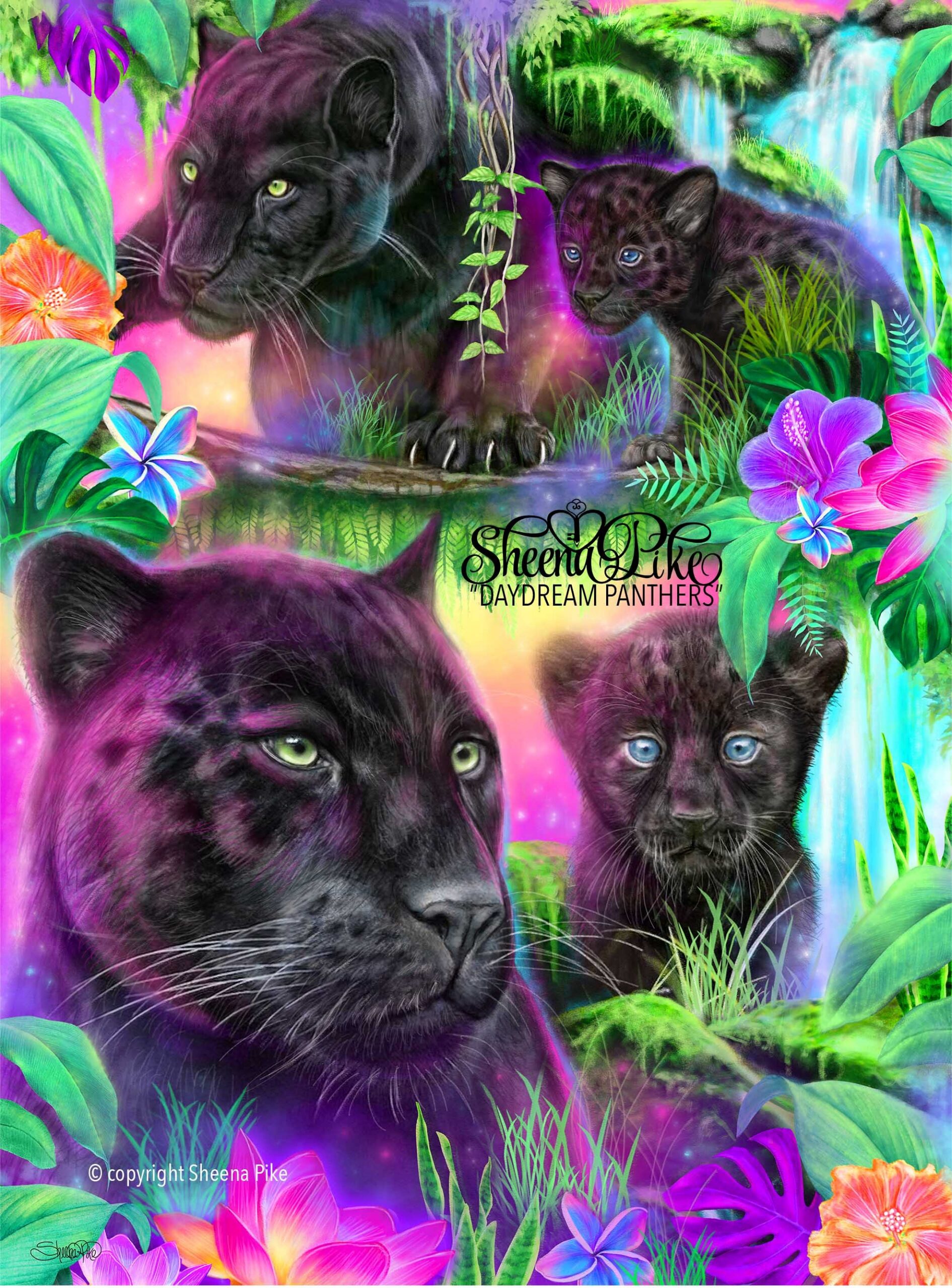 Daydream Panthers