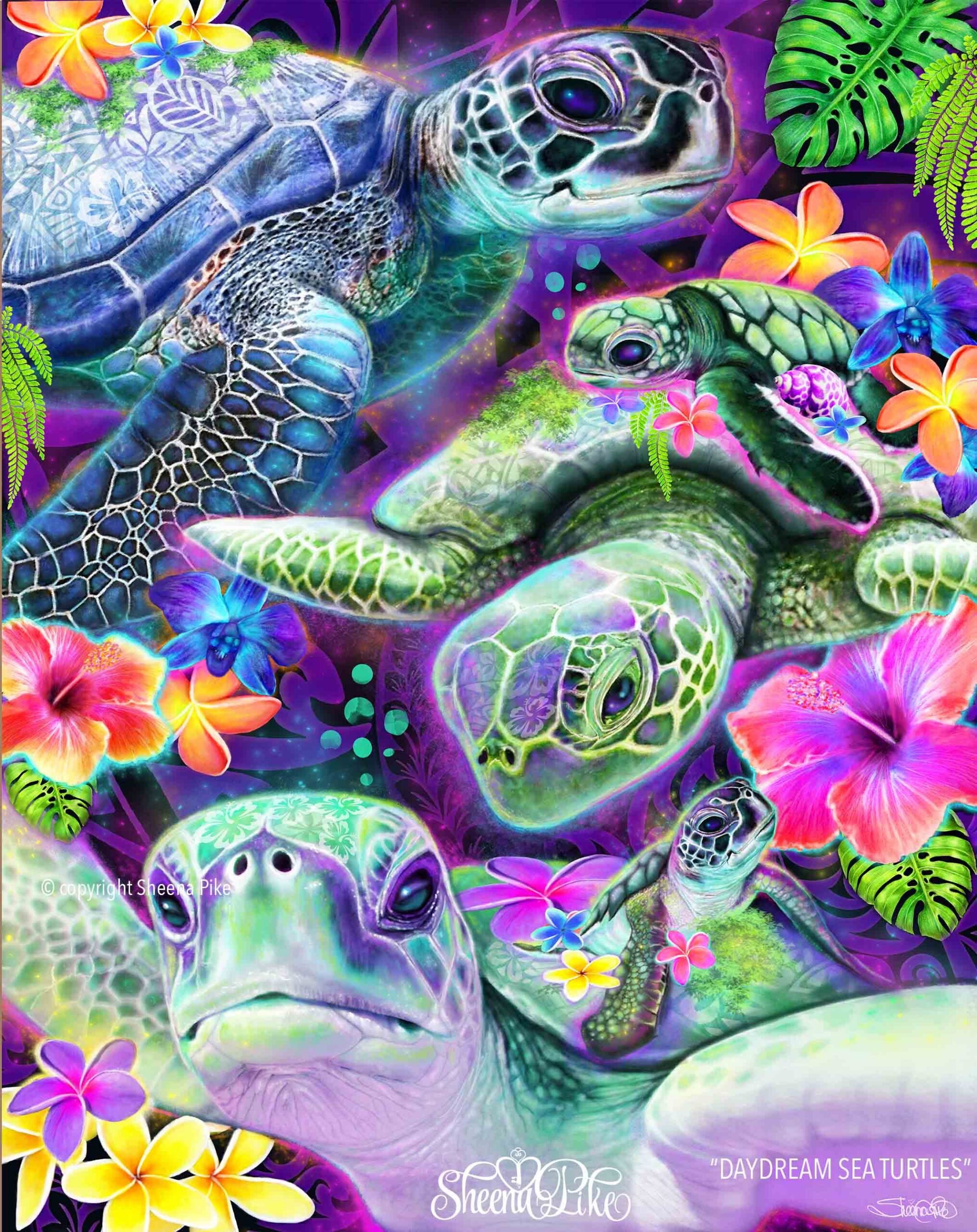 Daydream Sea turtles