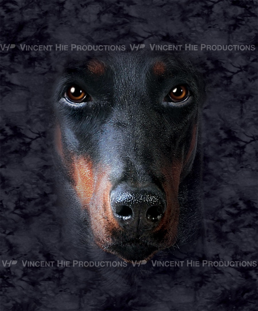 Doberman Big Face