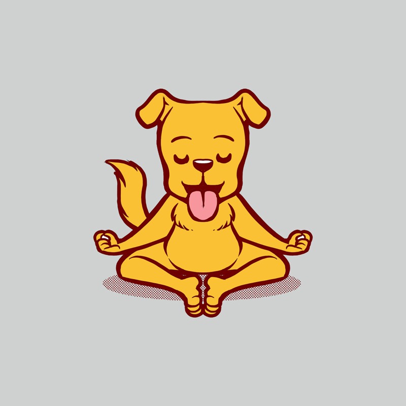 Dog Animals Meditation Zen Buddhism