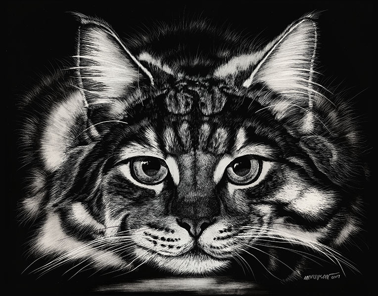 MAINE COON DRAGON CAT