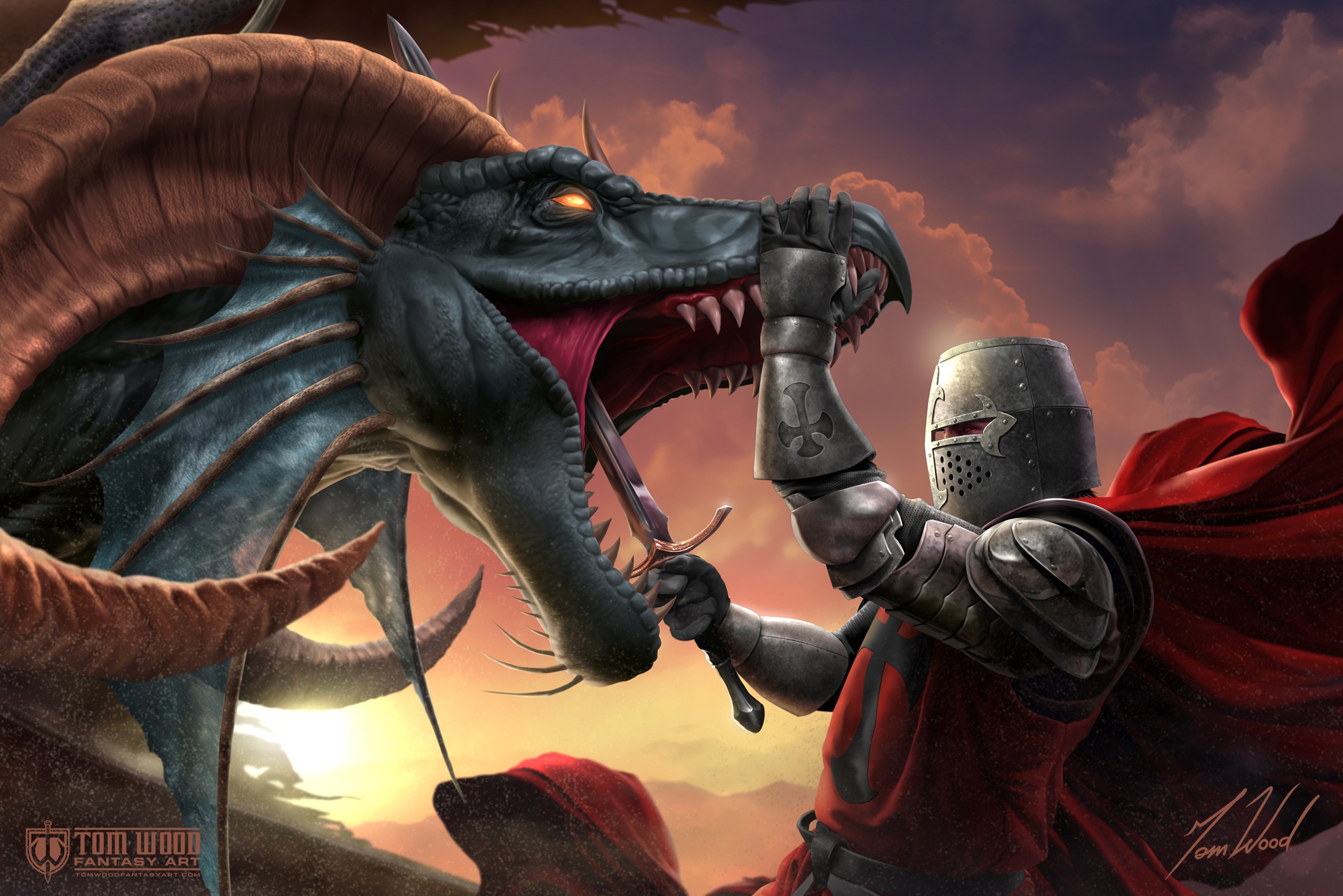 Dragon Slayer