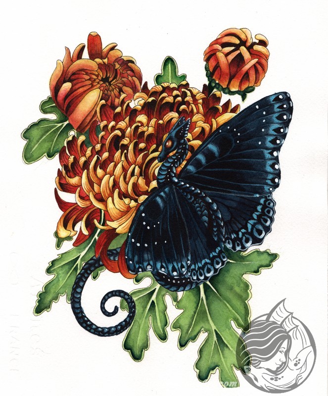 Abundance