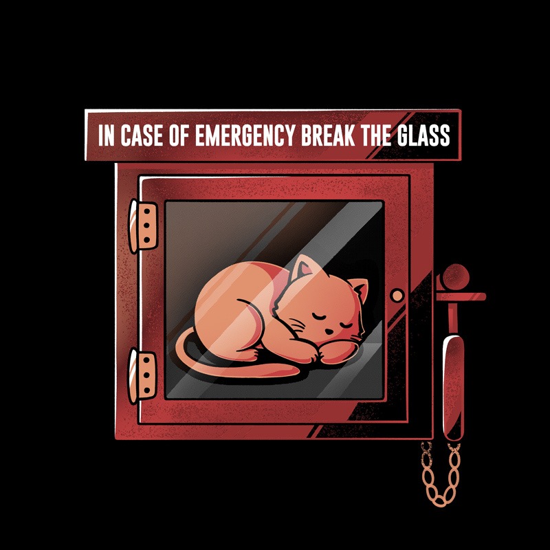 Emergency Cat