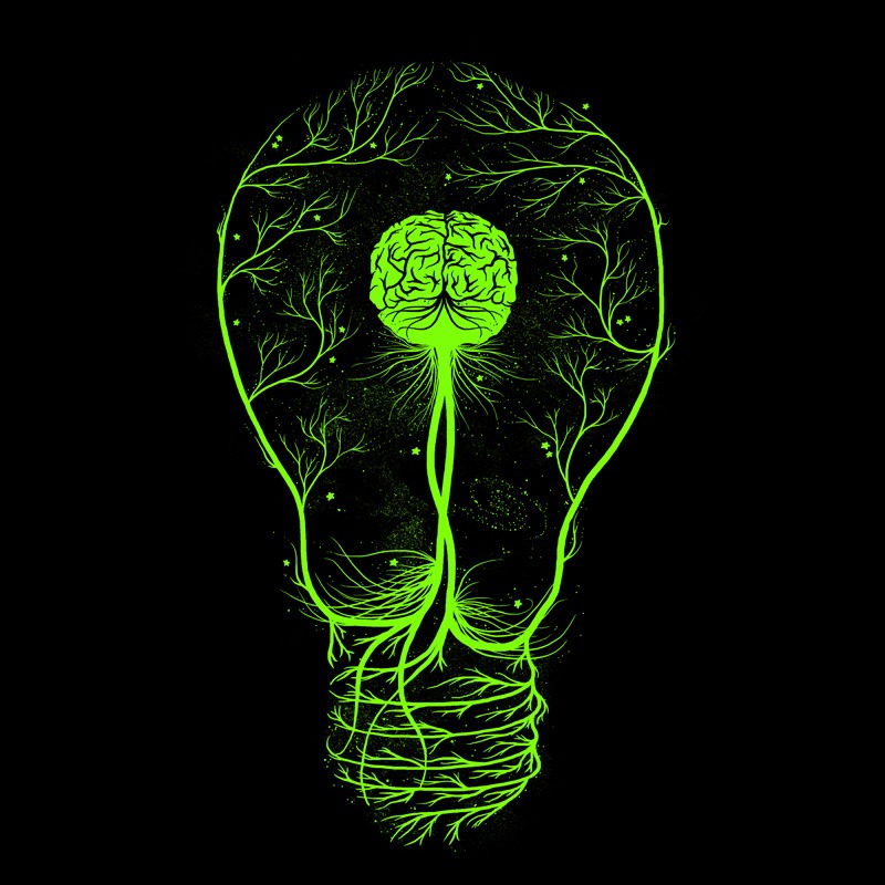 Enlightenment Nuclear Brain