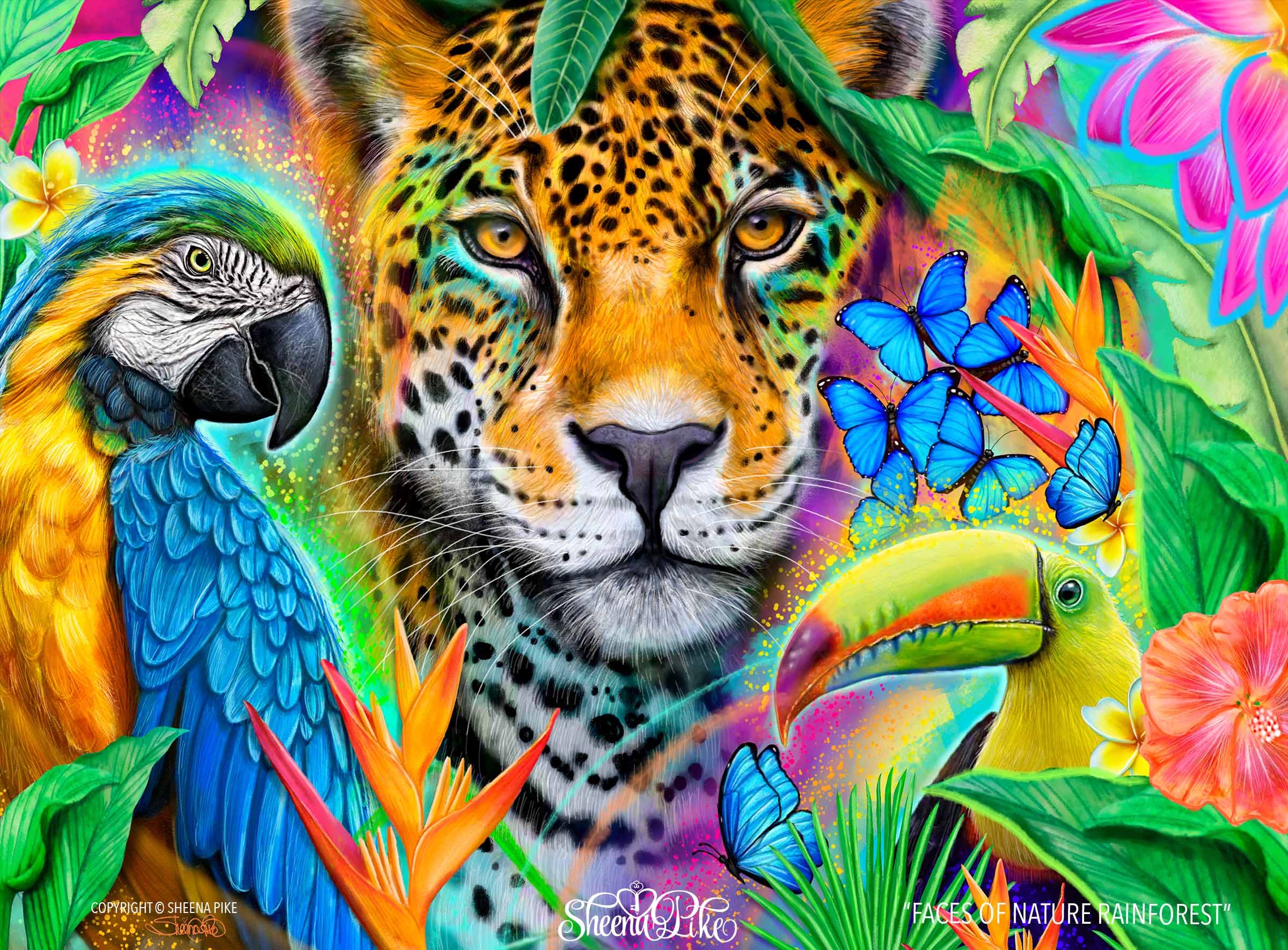 Faces of Nature Rainforest