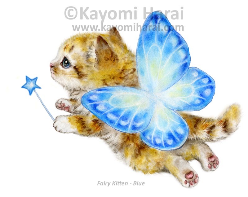 Fairy Kitten Blue
