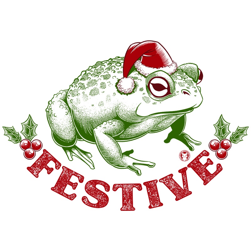 Festive Frog