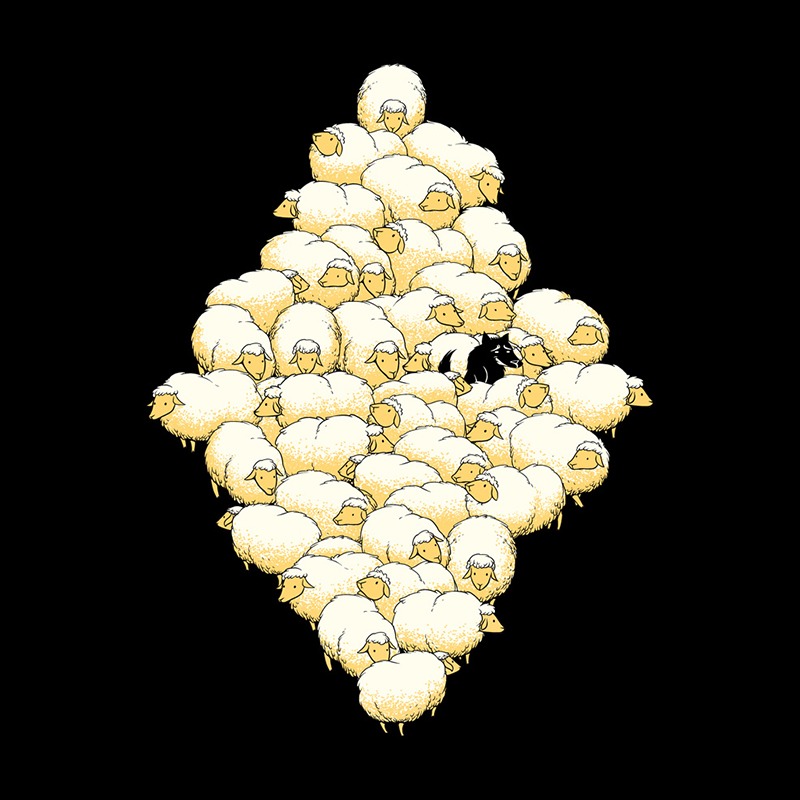 Find The Spy