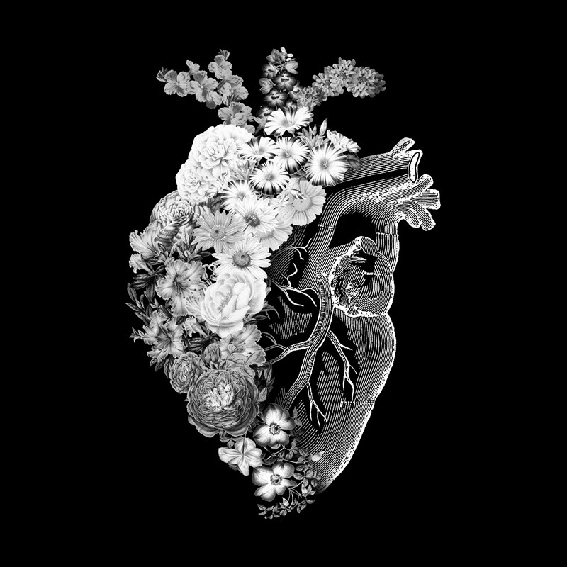 Flower Heart Spring Black and White