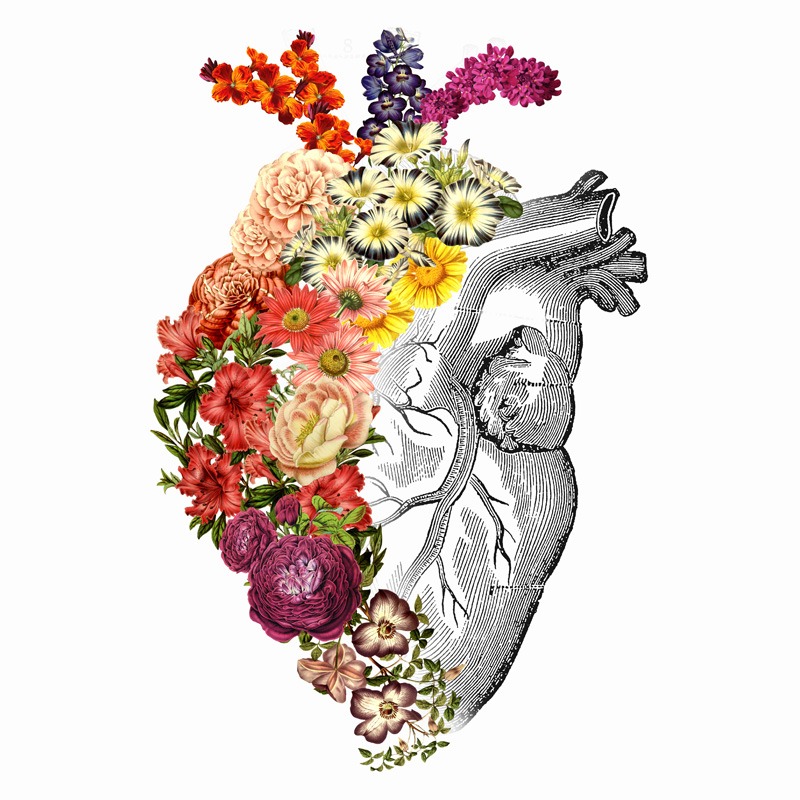 Flower Heart Spring White