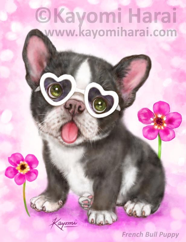 French Bull Puppy