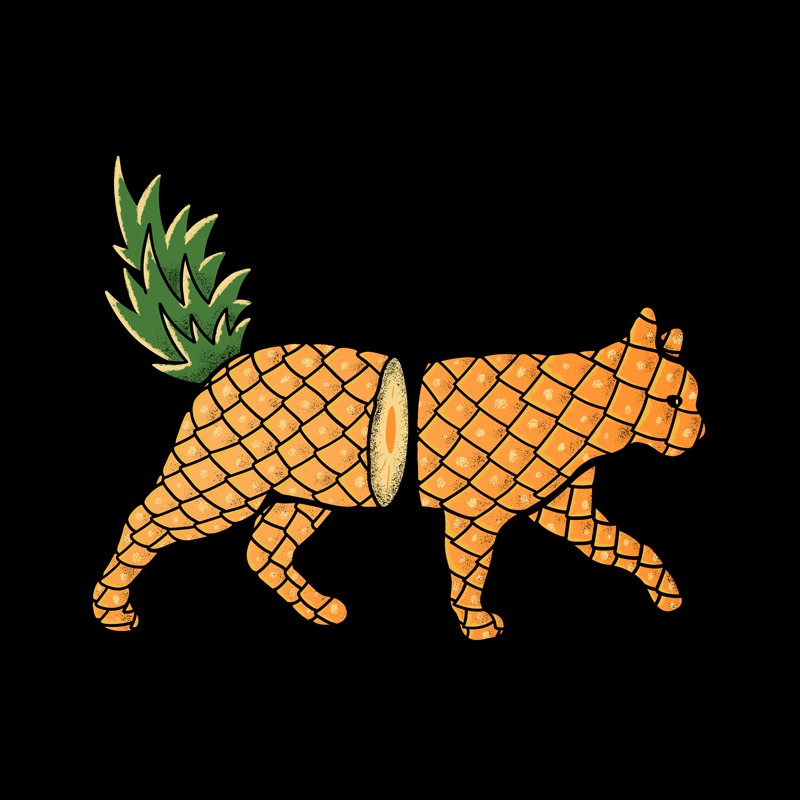 Fruit Cat: Pineapple